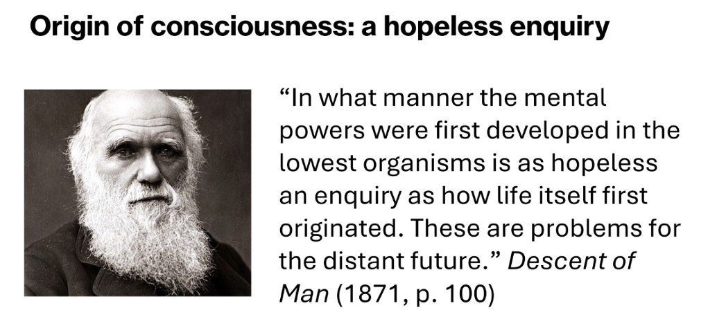 TSC Barcelona Group Photo